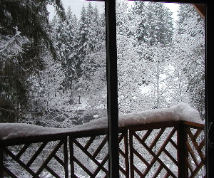 VIEW FROM MASTER BEDROOM